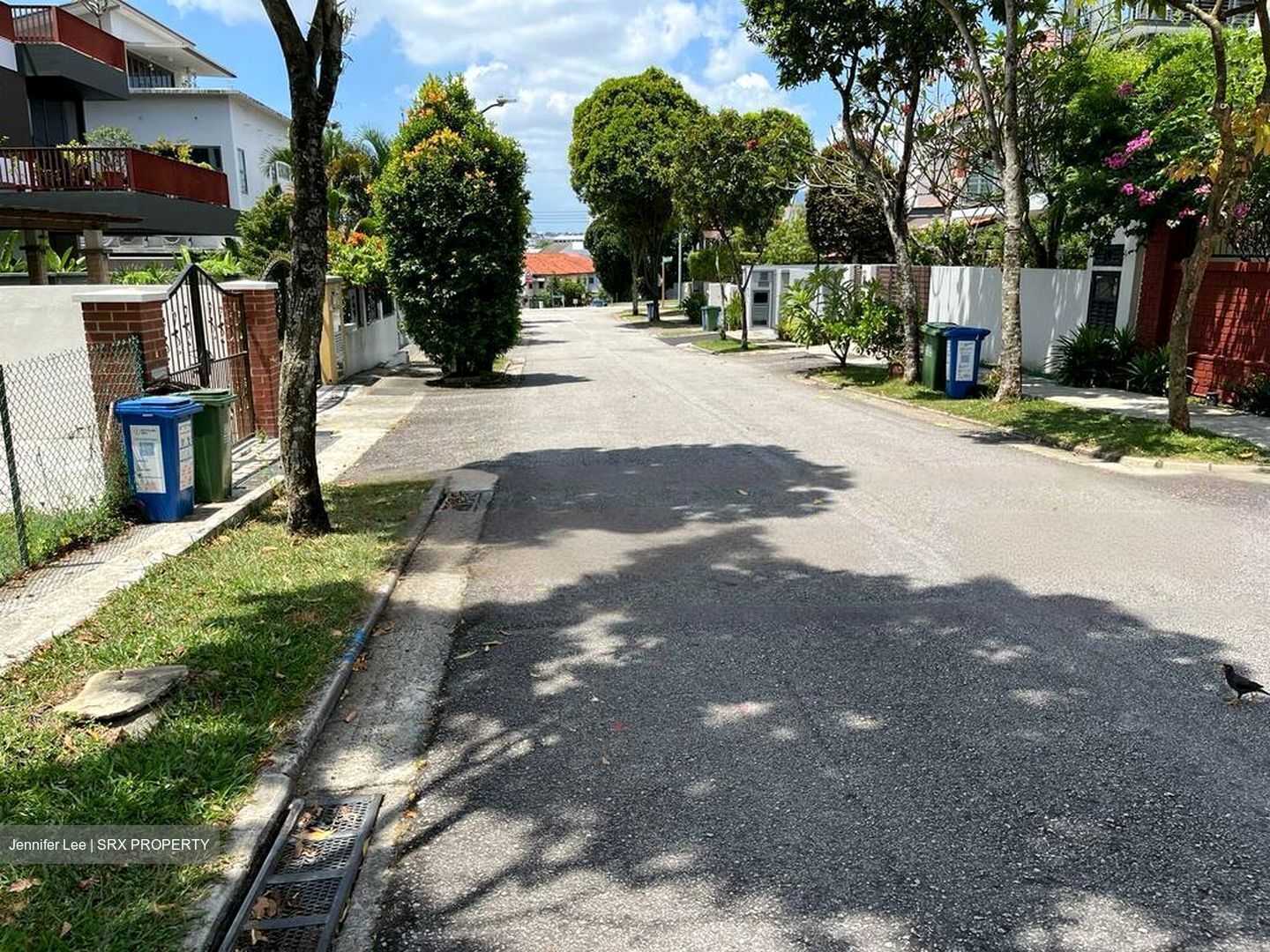 Serangoon Garden Estate (D19), Detached #463576761